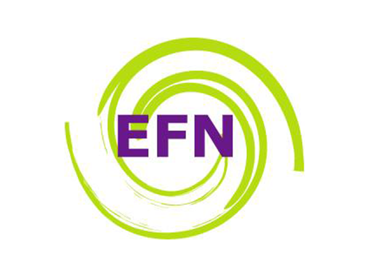 European Federation of Nurses Associations